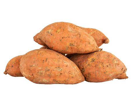 origen y beneficios del boniato