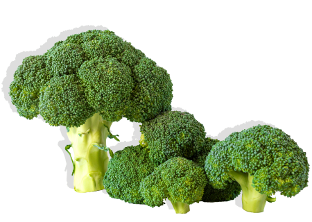 brocoli propiedades y beneficios