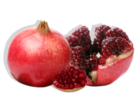 granada wonderful punica granatum