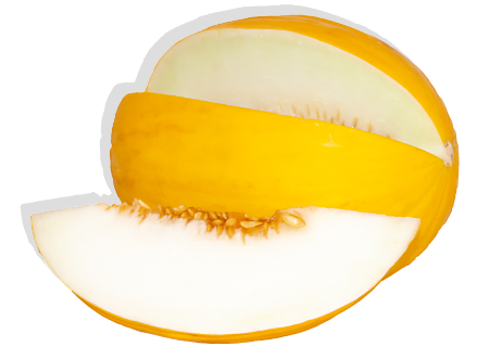 melon amarillo cucumis melo