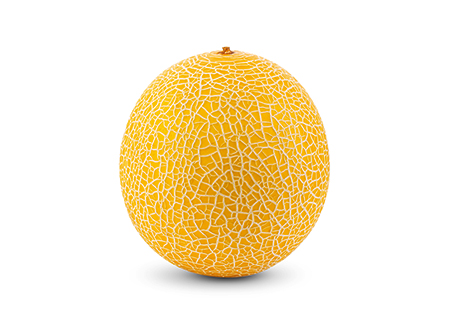 melon galia propiedades