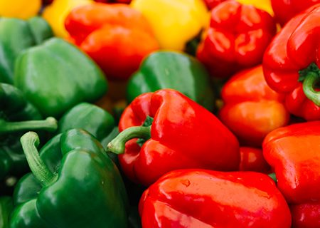 pimiento morron cocina y variedad